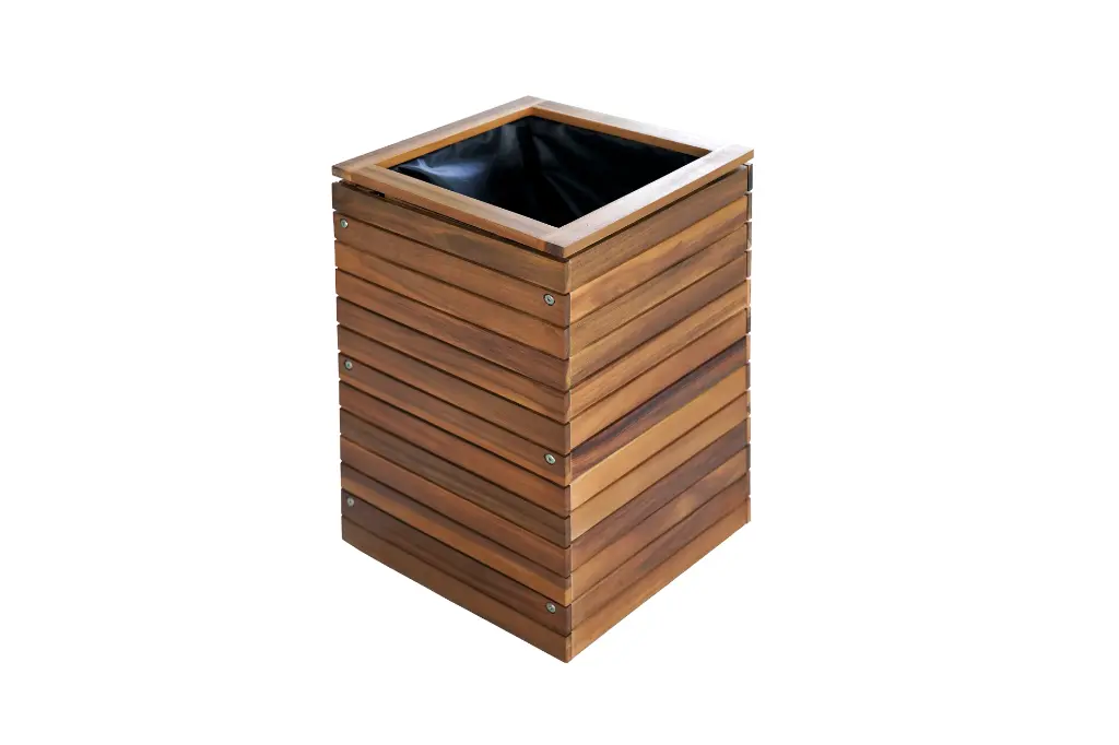 Adobe Express - file (1).webp